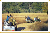 Explore Rural Rajasthan Horse Jeep Safaris 